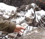 В Вологде «Магистраль» сваливает кучи снега возле перекрестка улиц Мира и Герцена