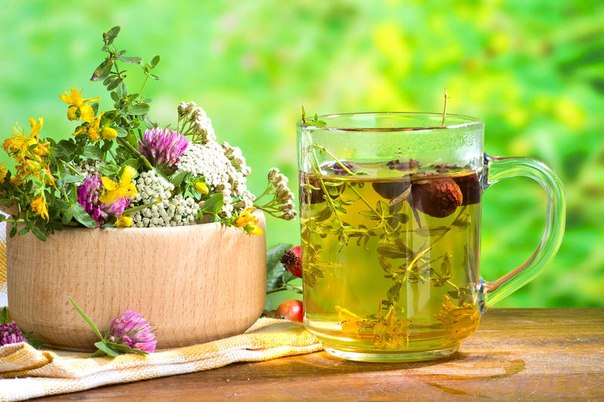 Лучшие травяные чаи и настои от головной боли
