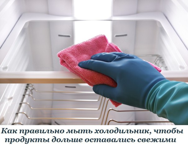 Как правильно мыть холодильник, чтобы продукты дольше оставались свежими. Бесценные советы!