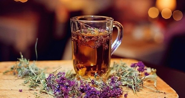 Женский чай с душицей, польза, рецепт приготовления