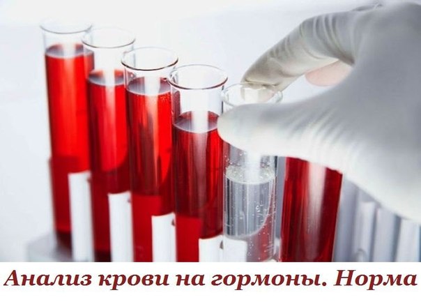Анализ крови на гормоны - норма, расшифровка