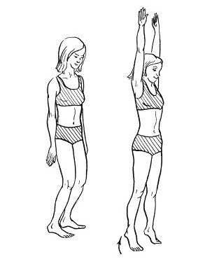 Гимнастические упражнения для профилактики варикоза