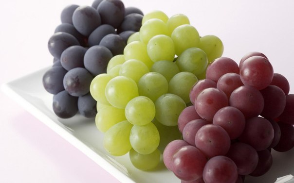 Виноград обладает хорошим желчегонным действием и применяются при болезнях печени. 